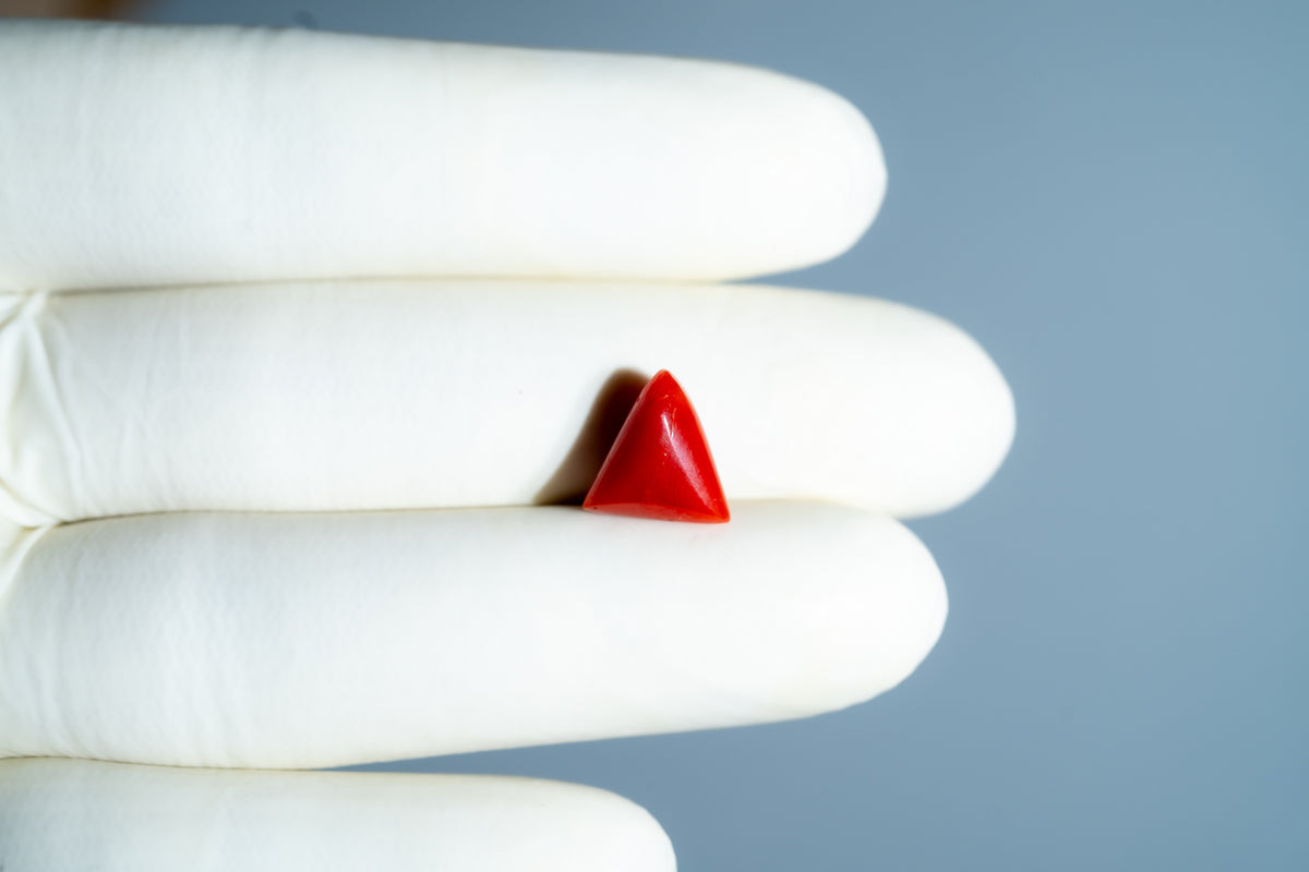Italian Red Coral 5.14 Carats / 5.65 Ratti