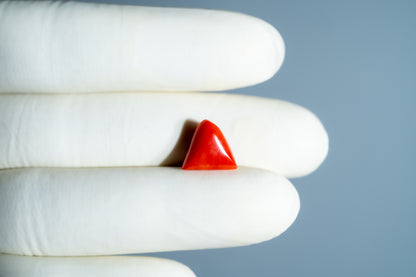 Italian Red Coral 4.93 Carats / 5.42 Ratti