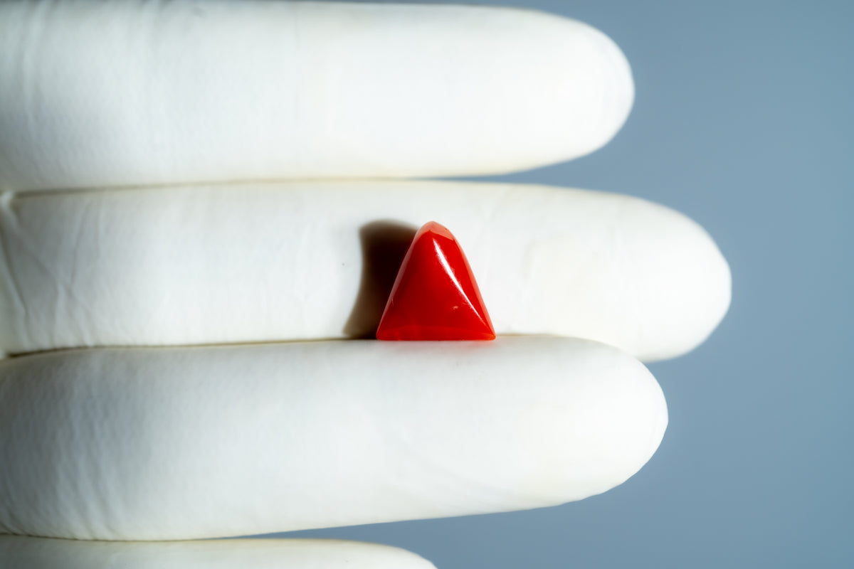 Italian Red Coral 5.79 Carats / 6.36 Ratti