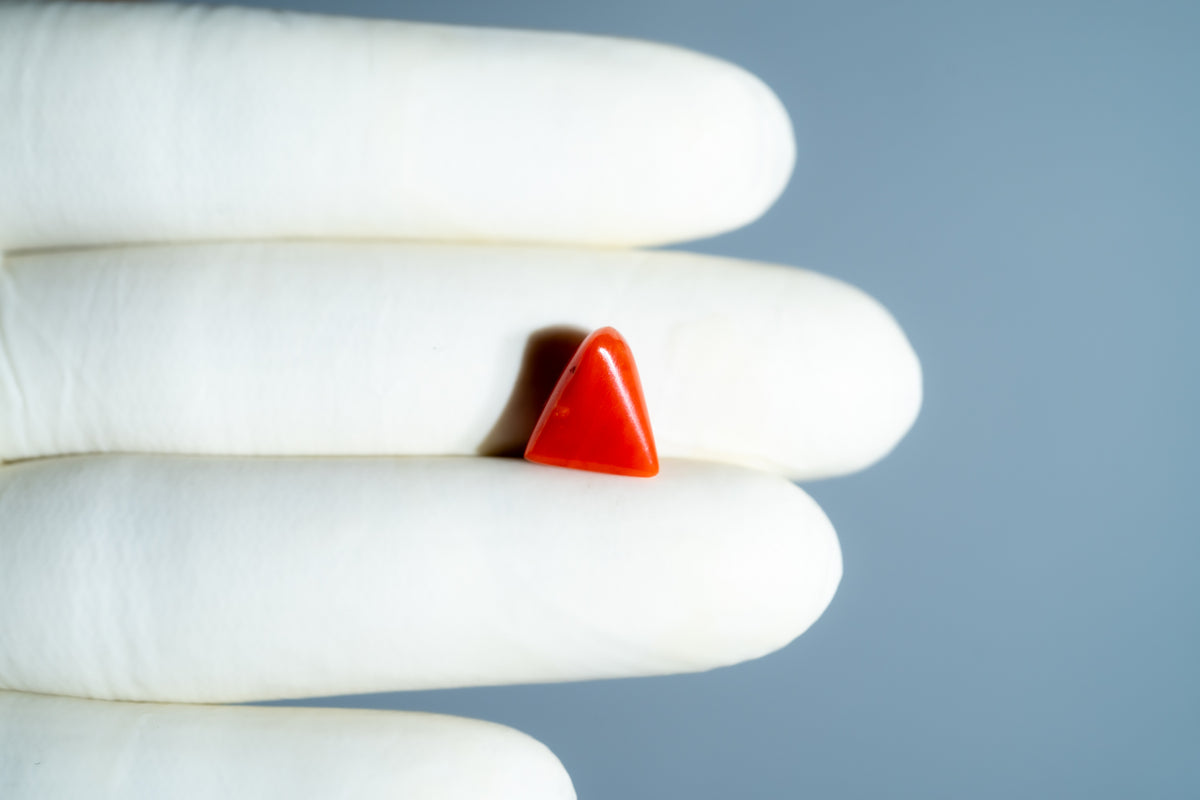 Italian Red Coral 5.06 Carats / 5.56 Ratti