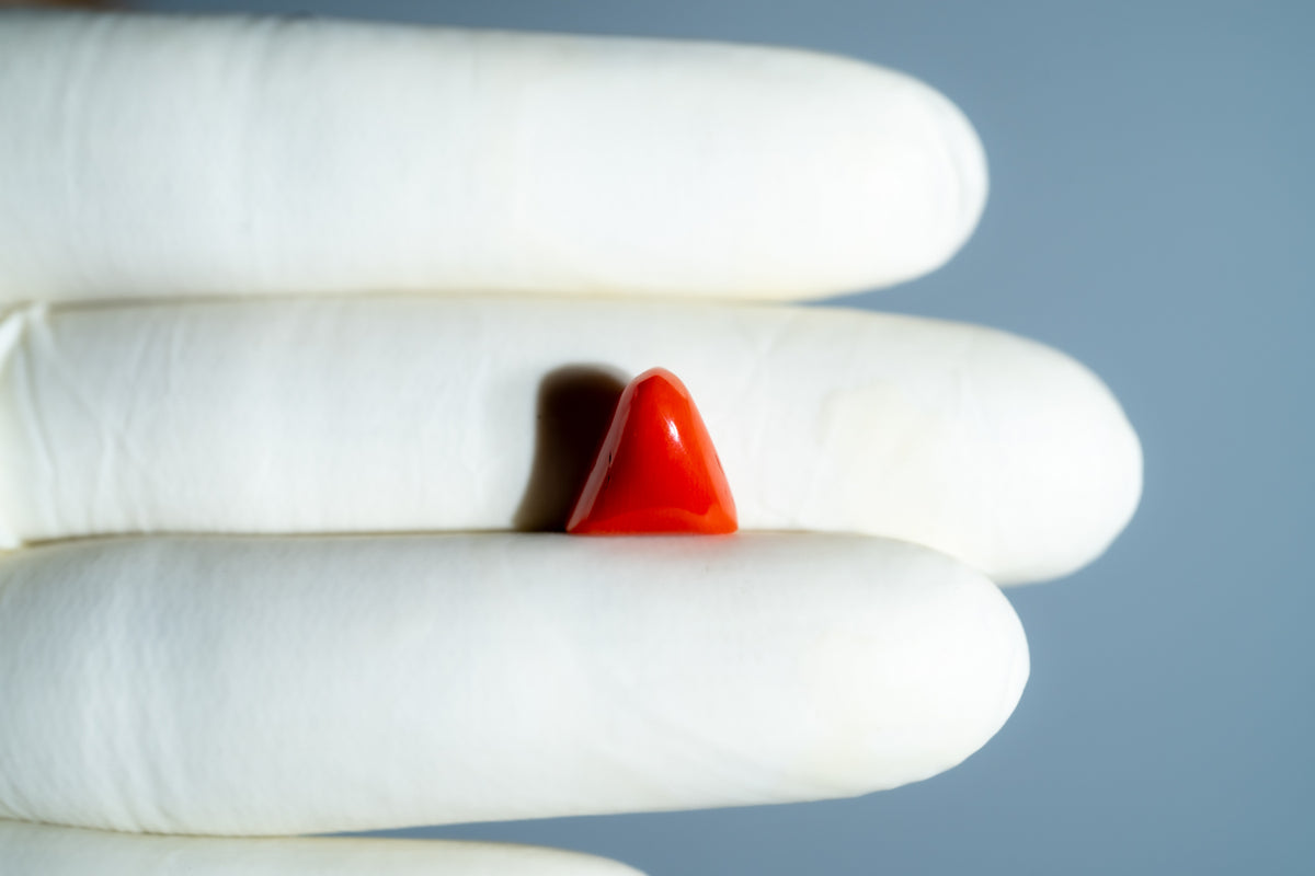 Italian Red Coral 6.08 Carats / 6.68 Ratti