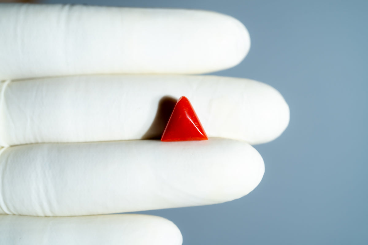 Italian Red Coral 6.06 Carats / 6.66 Ratti
