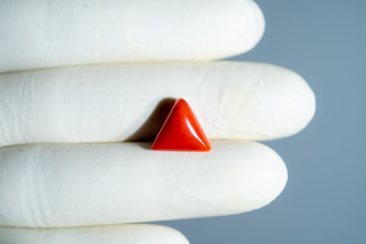 Italian Red Coral 5.94 Carats / 6.53 Ratti