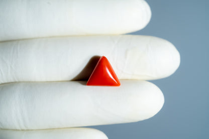 Italian Red Coral 5.94 Carats / 6.53 Ratti