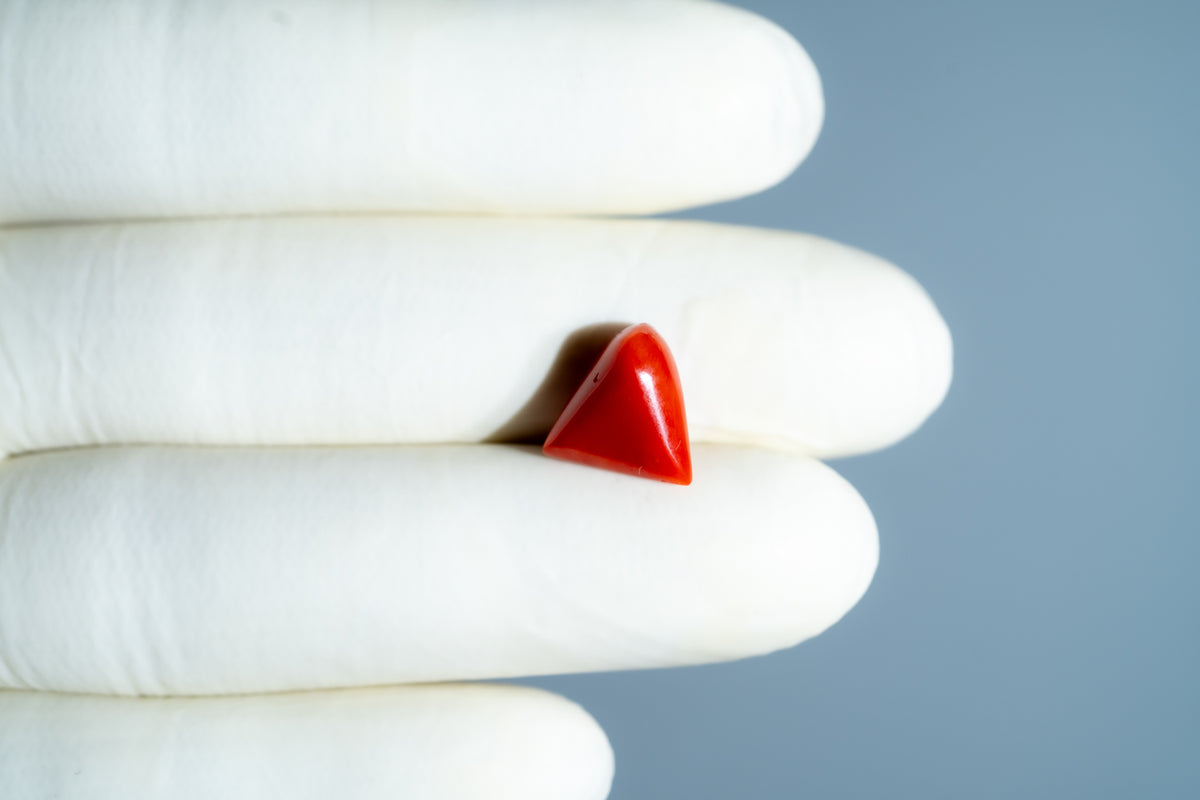 Italian Red Coral 5.19 Carats / 5.7 Ratti