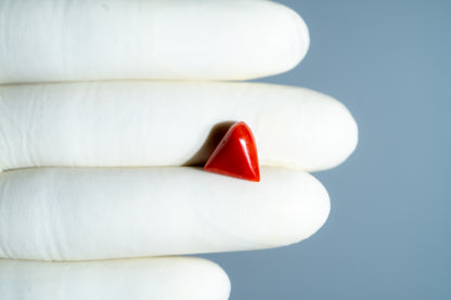 Italian Red Coral 5.19 Carats / 5.7 Ratti