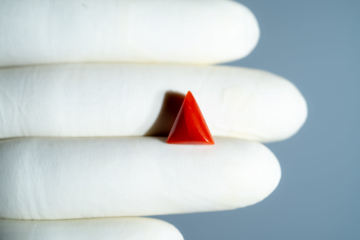 Italian Red Coral 5.04 Carats / 5.54 Ratti