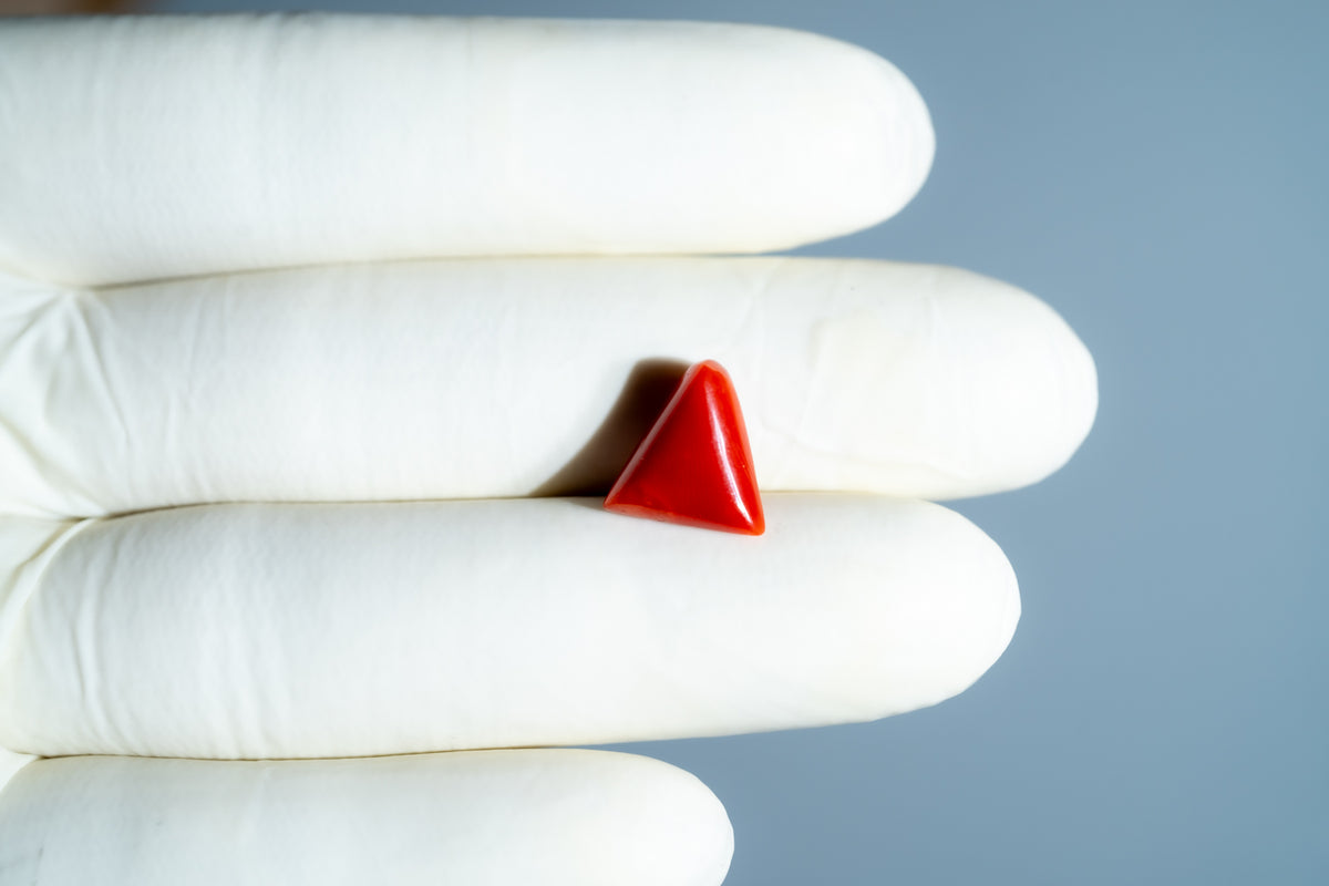 Italian Red Coral 5.70 Carats / 6.26 Ratti