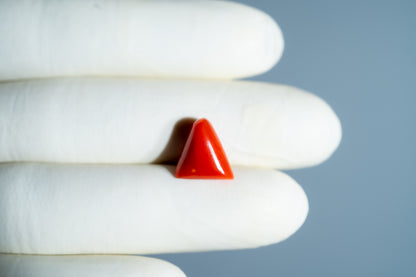 Italian Red Coral 6.06 Carats / 6.66 Ratti
