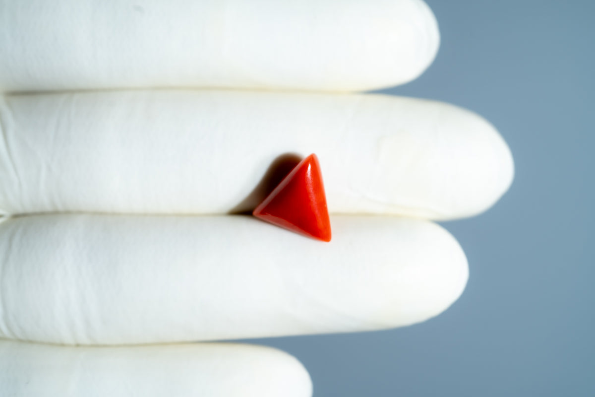 Italian Red Coral 4.95 Carats / 5.44 Ratti