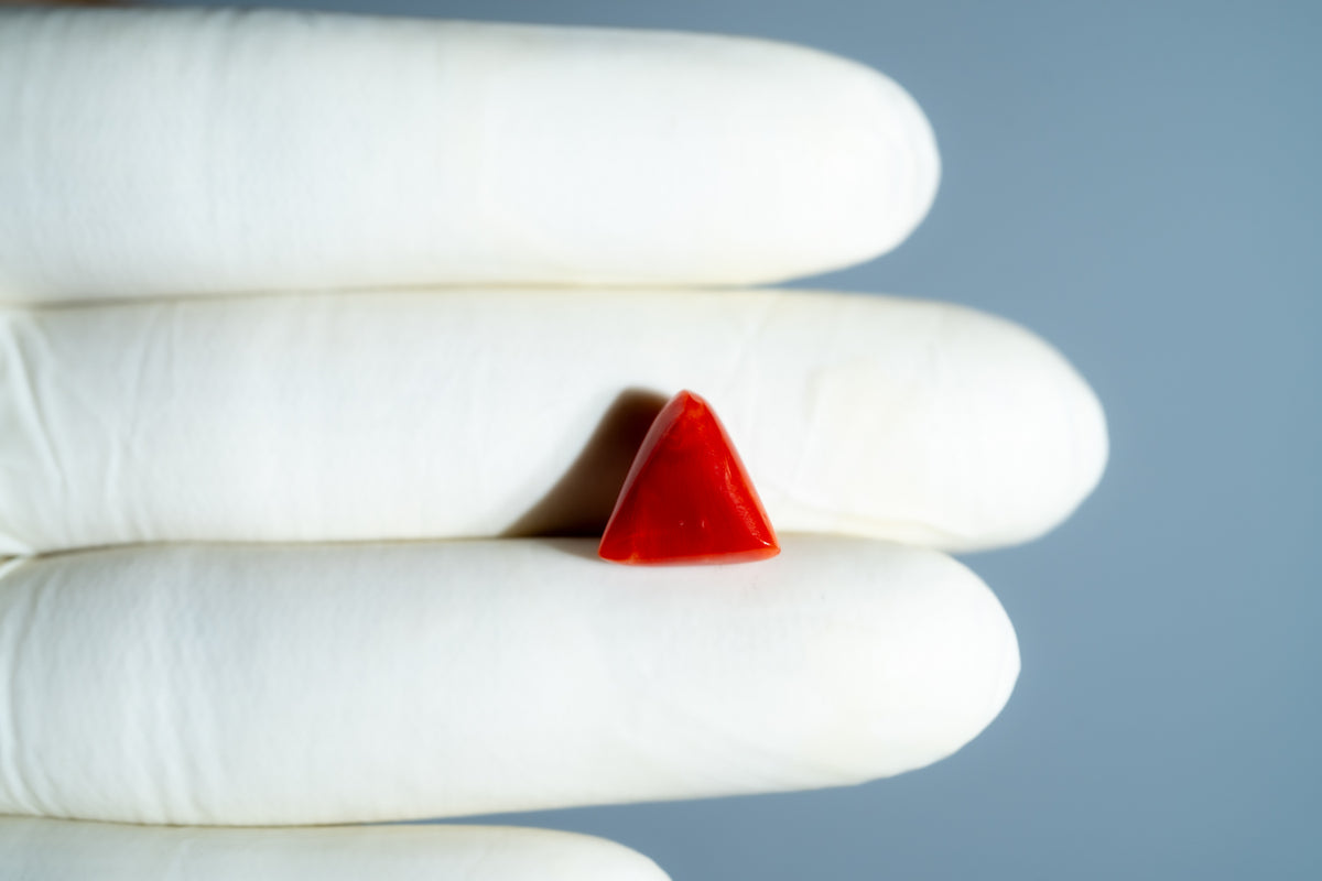 Italian Red Coral 5.80 Carats / 6.37 Ratti