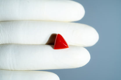 Italian Red Coral 5.32 Carats / 5.85 Ratti