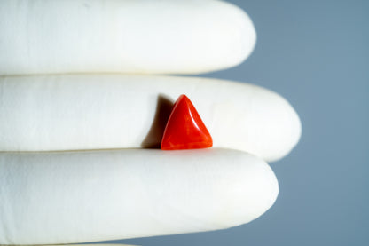 Italian Red Coral 4.93 Carats / 5.42 Ratti