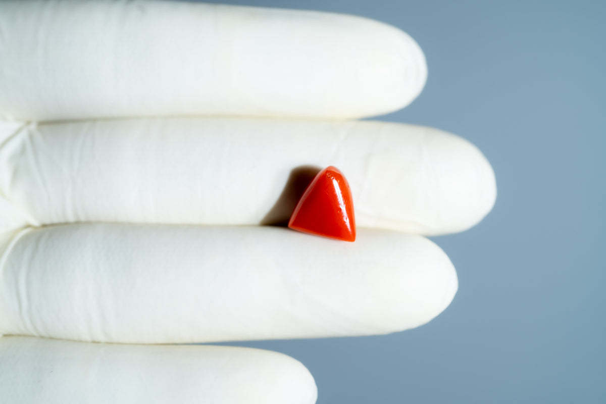 Italian Red Coral 6.13 Carats / 6.74 Ratti
