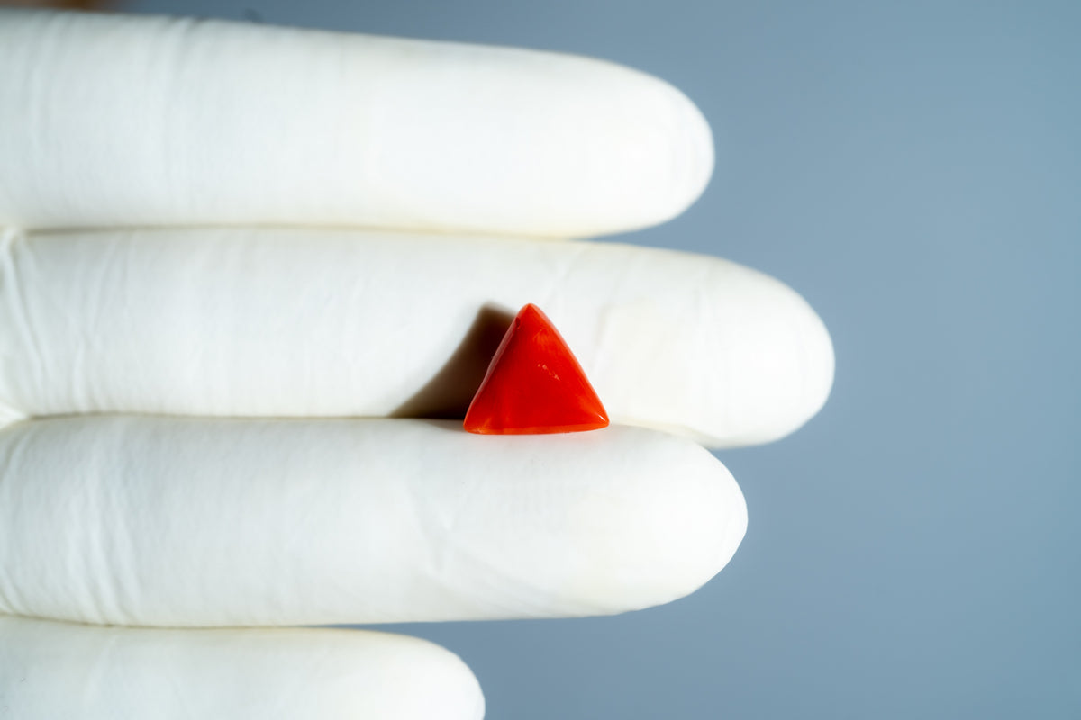 Italian Red Coral 5.09 Carats / 5.59 Ratti