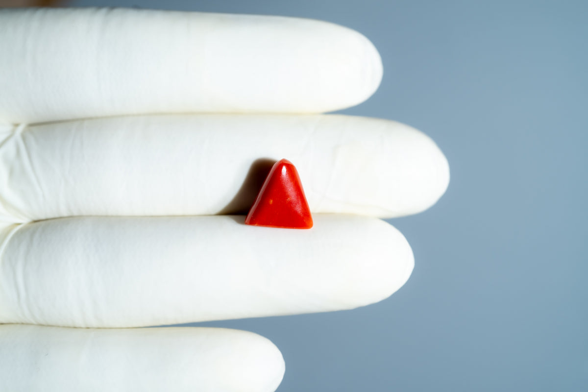 Italian Red Coral 5.75 Carats / 6.32 Ratti