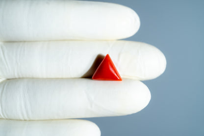 Italian Red Coral 5.99 Carats / 6.58 Ratti