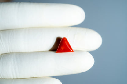Italian Red Coral 5.74 Carats / 6.31 Ratti