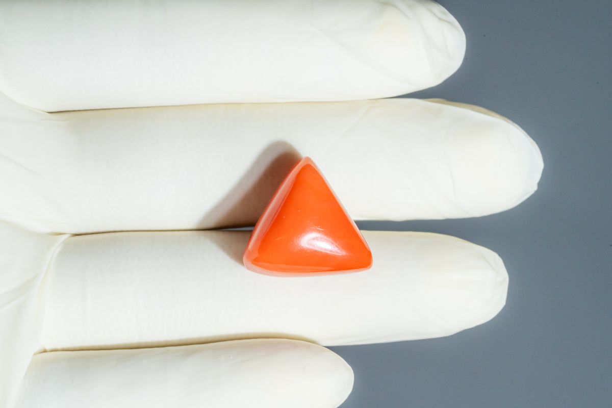 Italian Red Coral 31.46 Carats / 34.57 Ratti