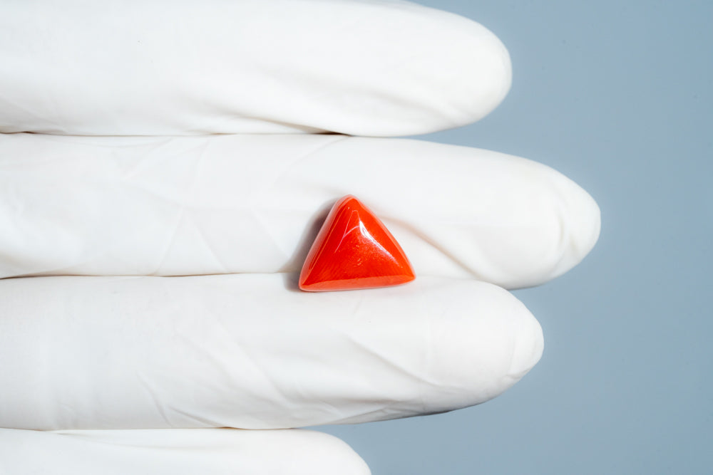 Italian Red Coral 7.05 Carats / 7.75 Ratti