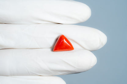 Italian Red Coral 7.05 Carats / 7.75 Ratti