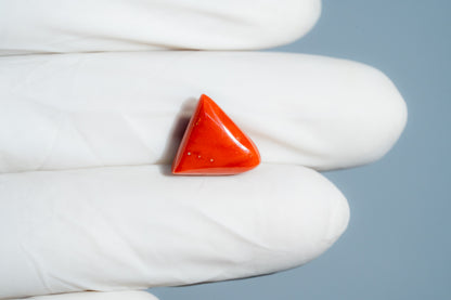 Italian Red Coral 6.75 Carats / 7.42 Ratti