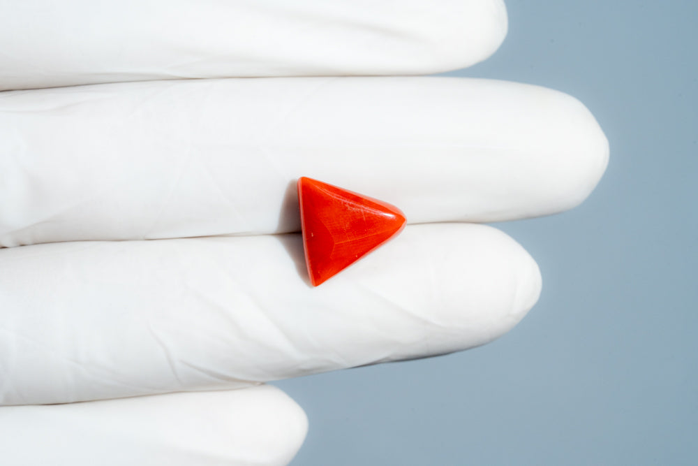 Italian Red Coral 6.95 Carats / 7.64 Ratti