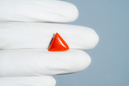 Italian Red Coral 6.23 Carats / 6.85 Ratti