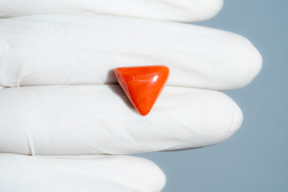 Italian Red Coral 9.67 Carats / 10.63 Ratti