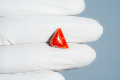 Italian Red Coral 6.19 Carats / 6.8 Ratti