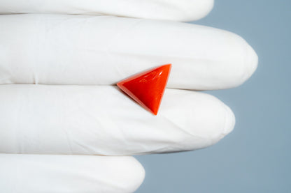 Italian Red Coral 6.27 Carats / 6.89 Ratti