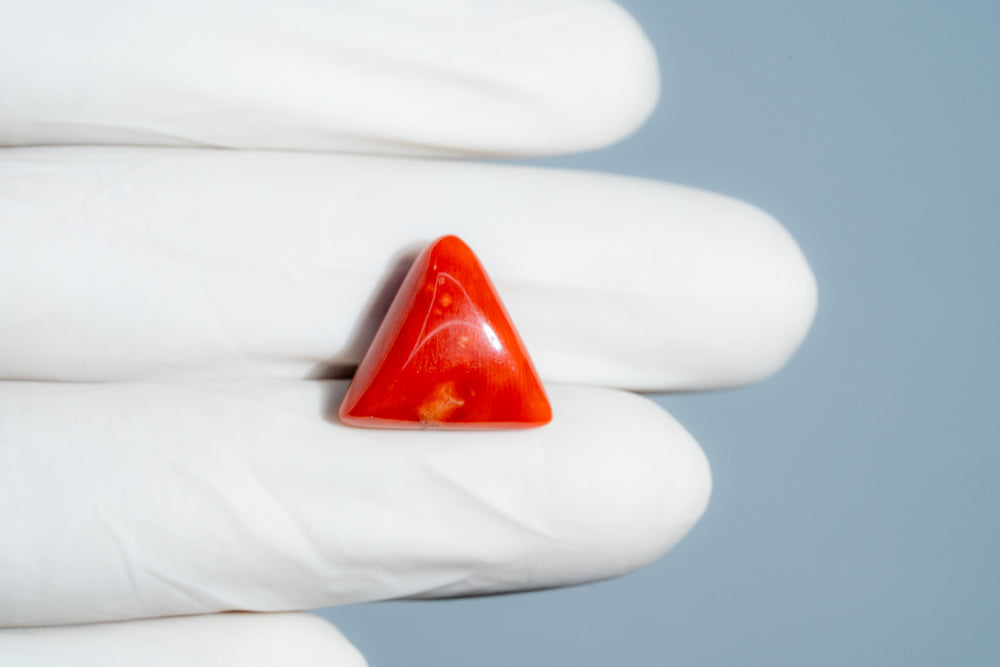 Italian Red Coral 11.81 Carats / 12.98 Ratti