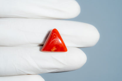 Italian Red Coral 11.81 Carats / 12.98 Ratti