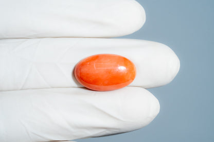 Japanese Red Coral 12.18 Carats / 13.38 Ratti