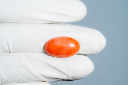 Japanese Red Coral 12.11 Carats / 13.31 Ratti