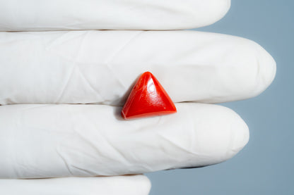 Italian Red Coral 6.16 Carats / 6.77 Ratti