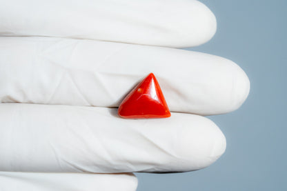Italian Red Coral 6.30 Carats / 6.92 Ratti