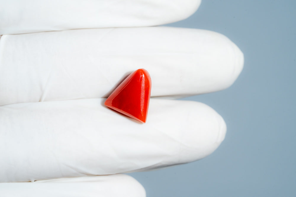 Italian Red Coral 6.45 Carats / 7.09 Ratti