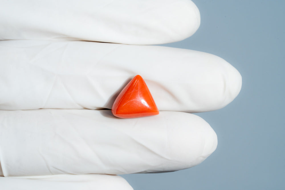 Italian Red Coral 6.52 Carats / 7.16 Ratti