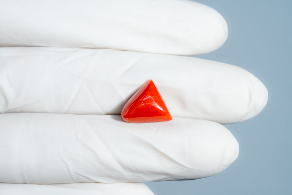 Italian Red Coral 6.54 Carats / 7.19 Ratti