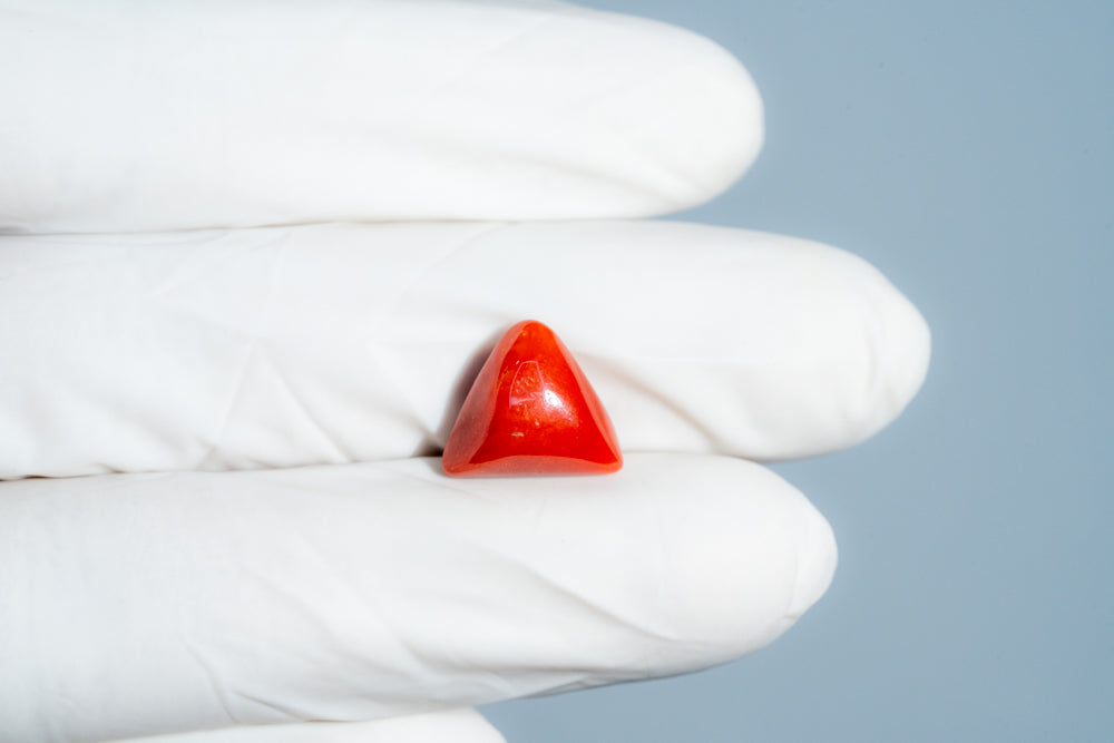 Italian Red Coral 6.28 Carats / 6.9 Ratti