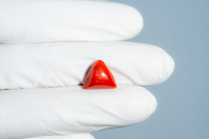 Italian Red Coral 6.28 Carats / 6.9 Ratti