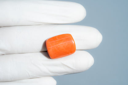 Japanese Red Coral 19.90 Carats / 21.87 Ratti