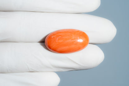 Japanese Red Coral 23.92 Carats / 26.29 Ratti