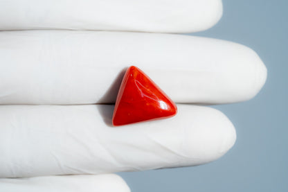 Japanese Red Coral 13.48 Carats / 16.24 Ratti