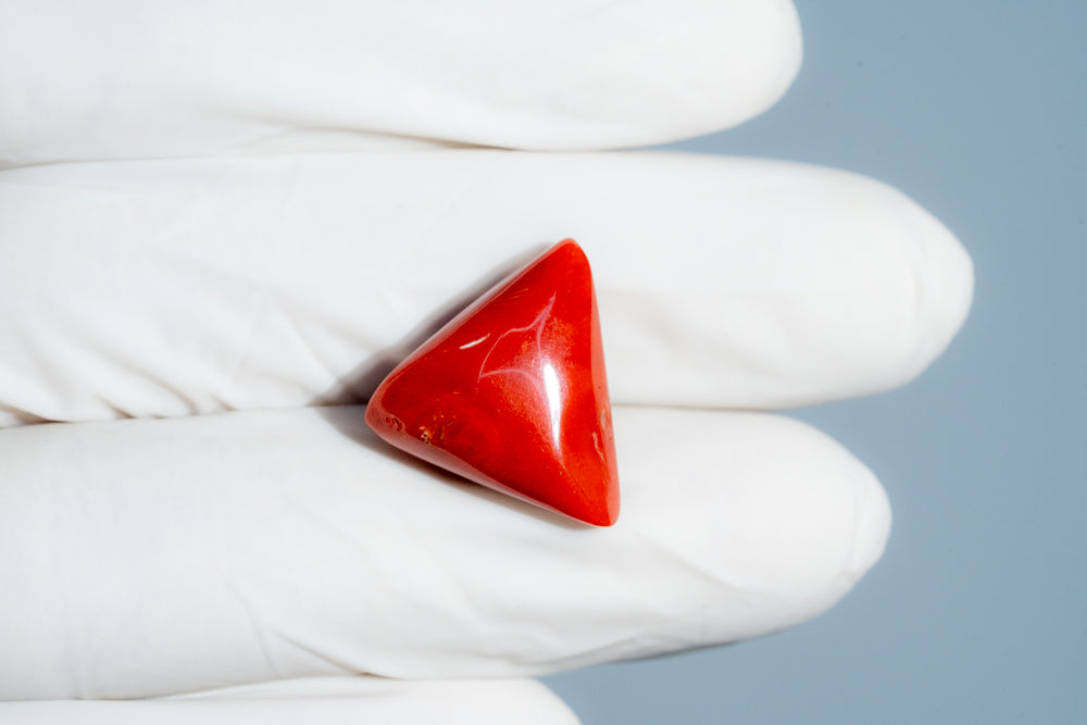 Italian Red Coral 16.79 Carats / 18.45 Ratti