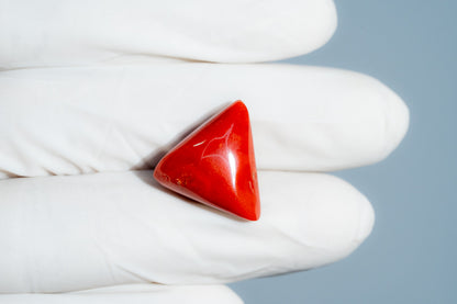Italian Red Coral 16.79 Carats / 18.45 Ratti