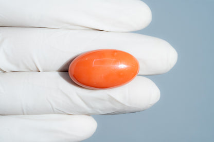 Japanese Red Coral 46.06 Carats / 50.62 Ratti