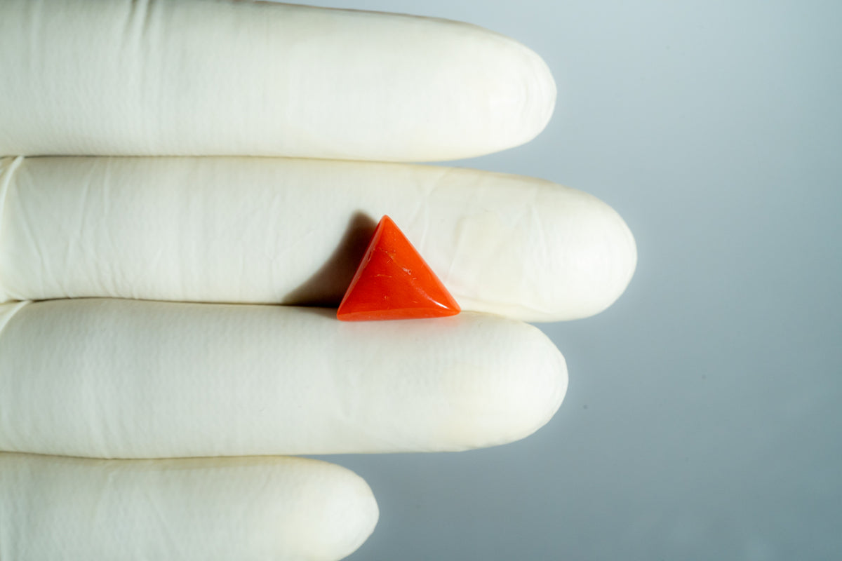 Italian Red Coral 6.16 Carats / 6.77 Ratti