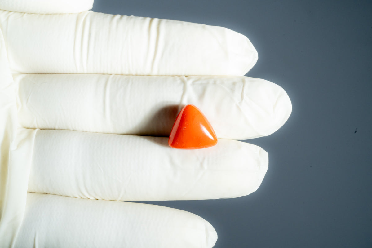 Italian Red Coral 9.02 Carats / 9.91 Ratti